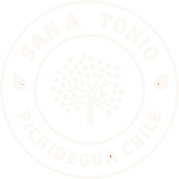 San antonio