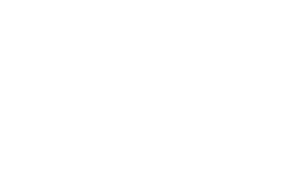 Universidad de chile